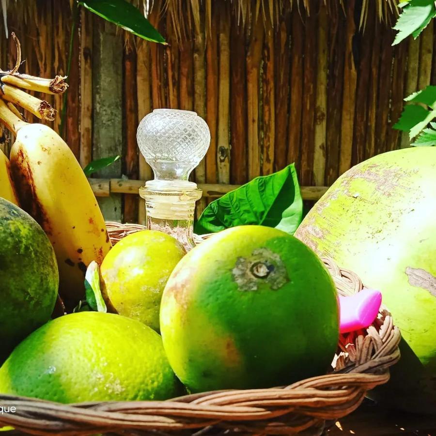 Cabanas Alma Verde Bacalar Dış mekan fotoğraf